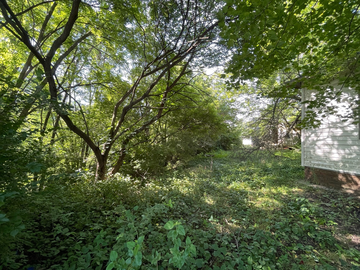 608 S Elm Street Property Photo 5