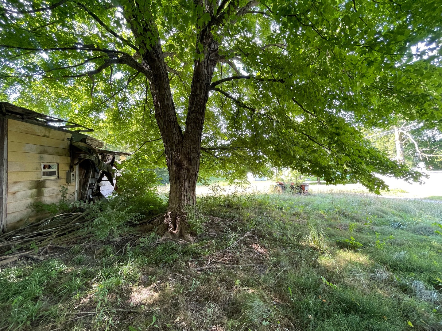 608 S Elm Street Property Photo 8