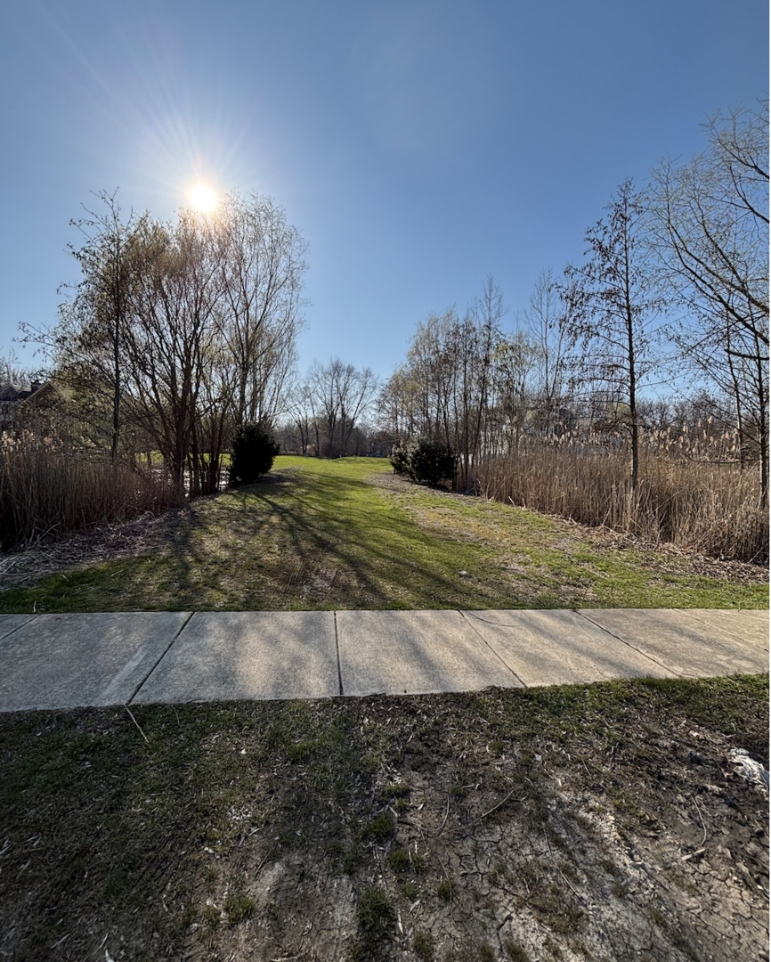 6542 Bentley Avenue Property Photo 4