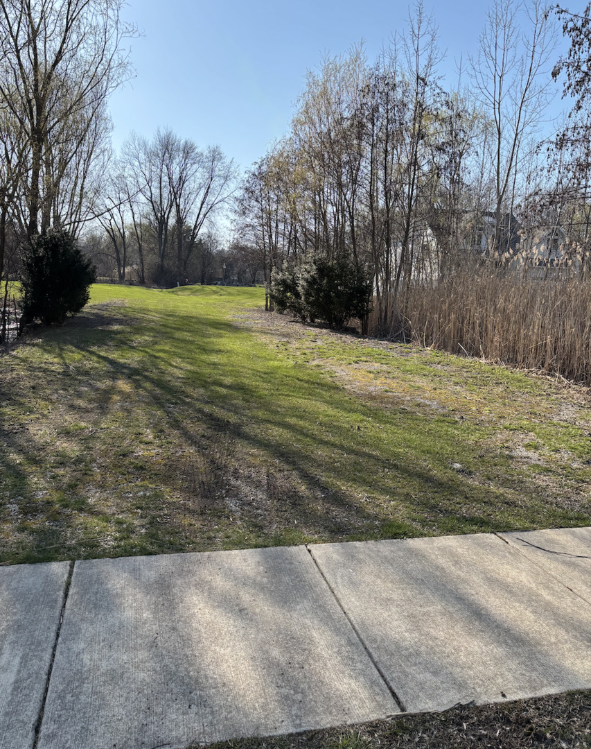 6542 Bentley Avenue Property Photo 8