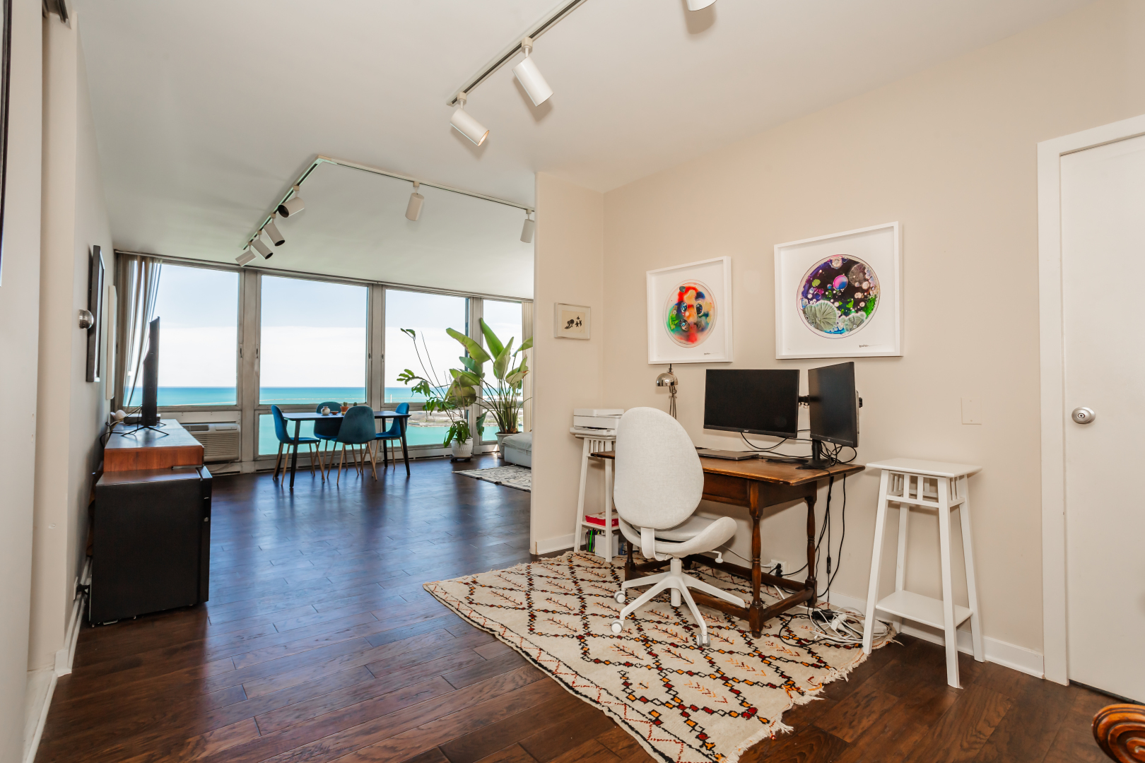 880 N Lake Shore Drive 17d Property Photo 11