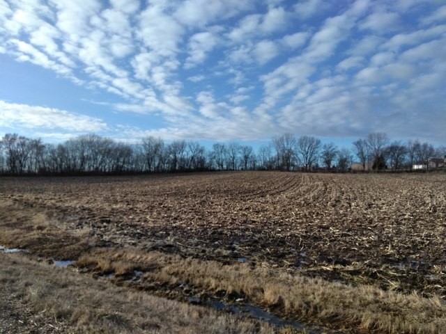 000 Nw Corner Rt 47 And Lees Road Property Photo