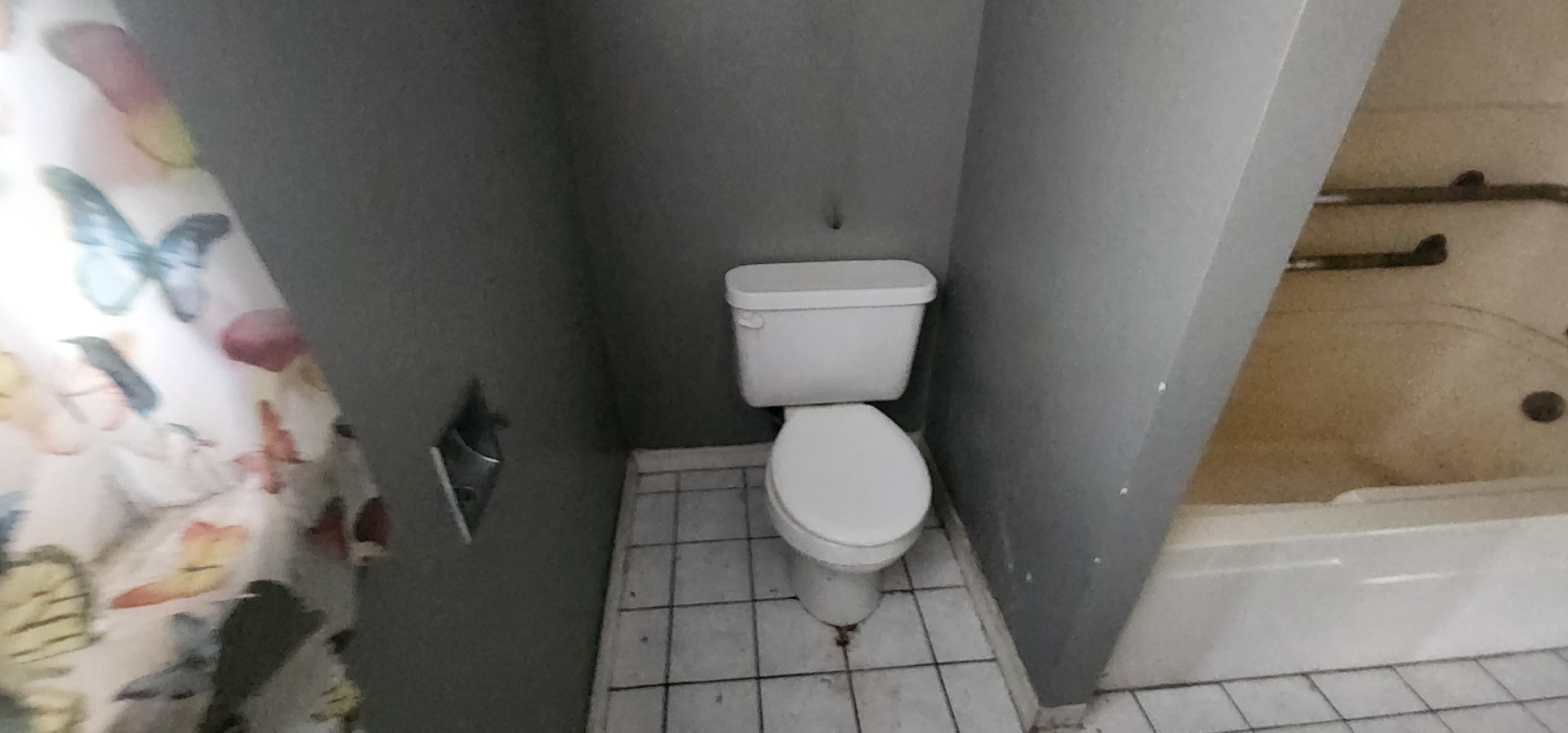 306 Mills Road Property Photo 5