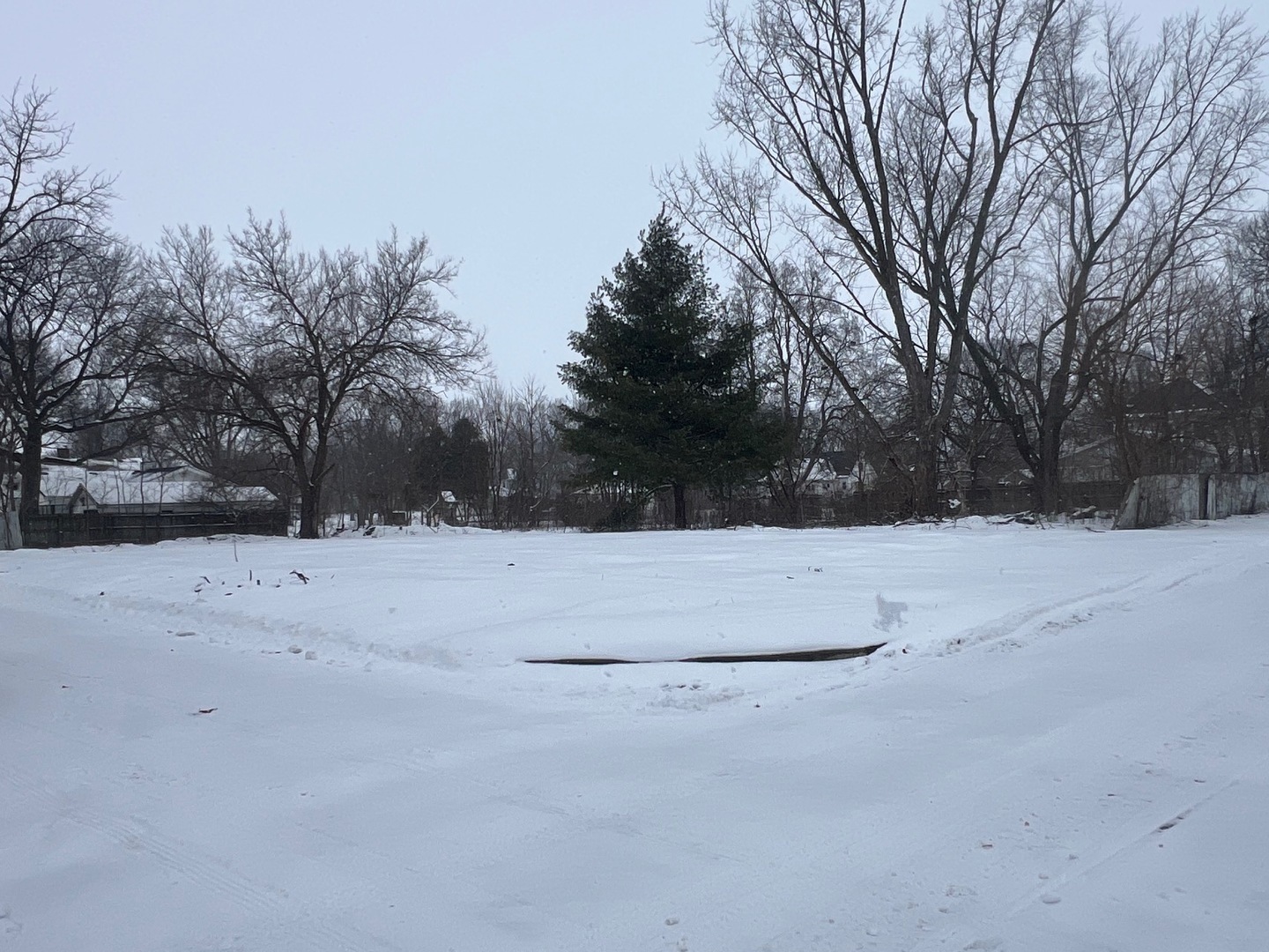 229 E Vine Street Property Photo 2