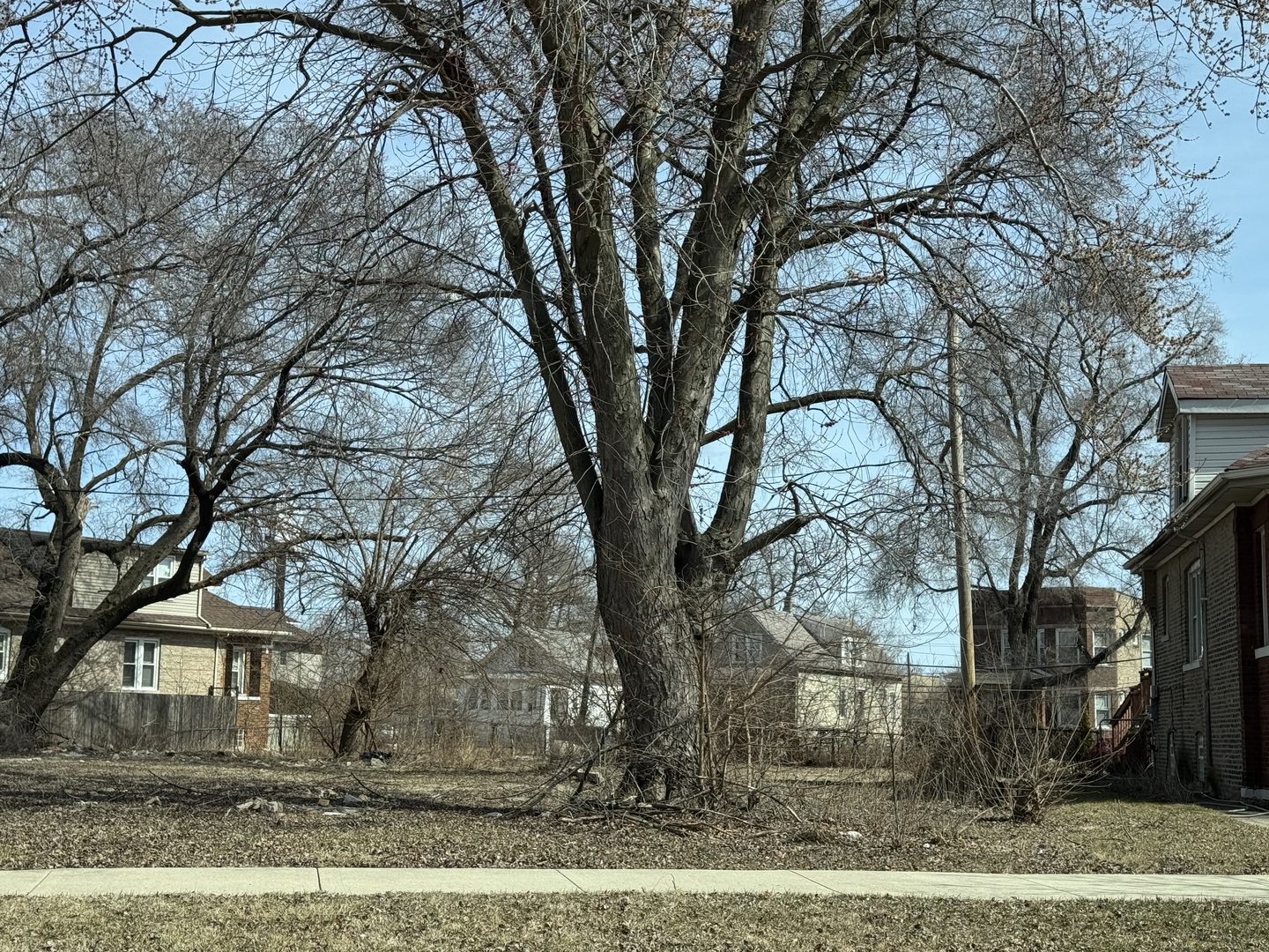 9969 S Winston Avenue Property Photo 1