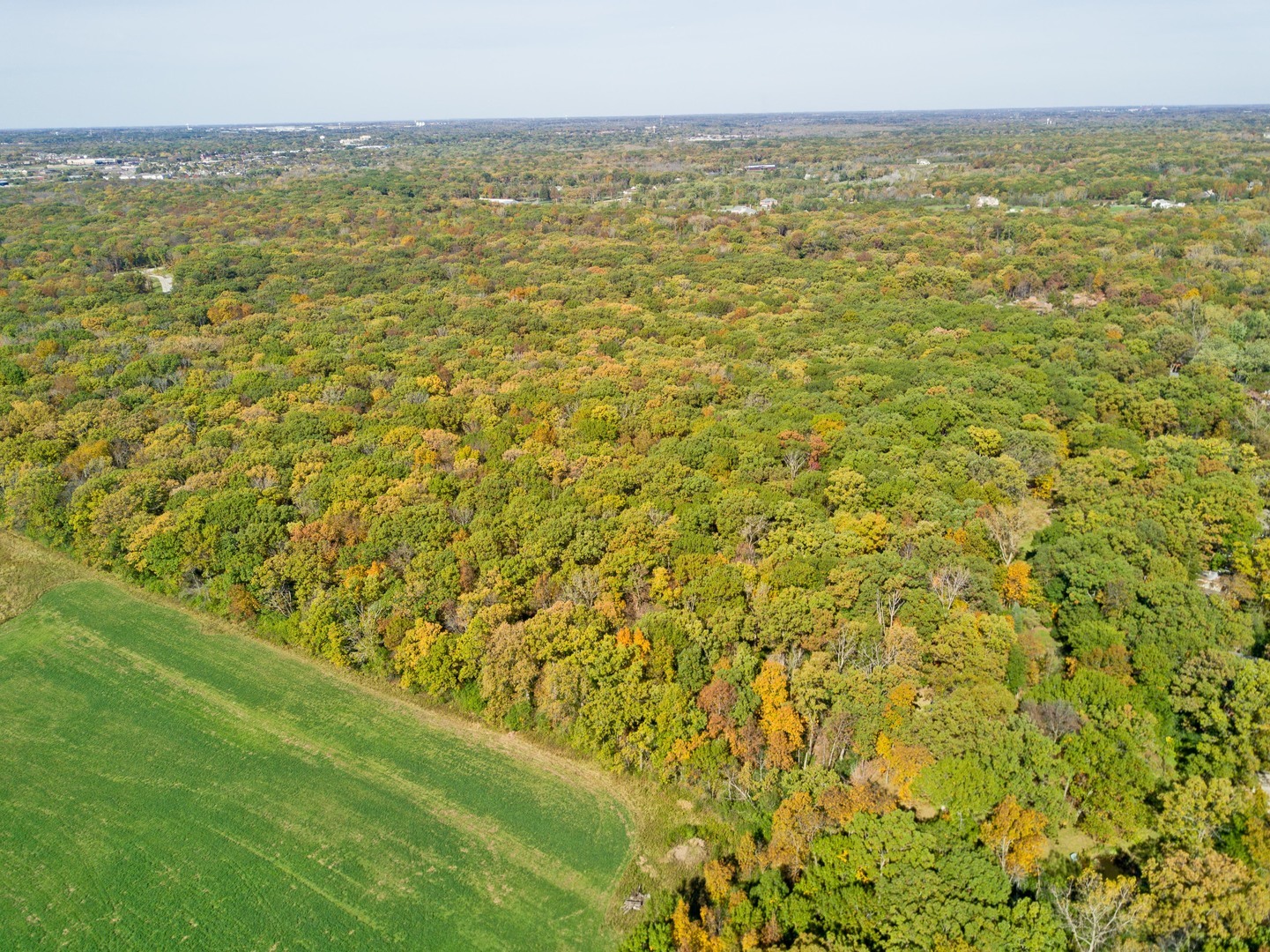 26376 N Farwell Road Property Photo 17