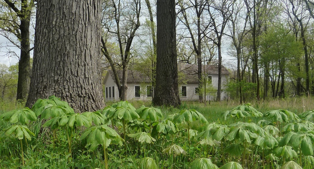 26376 N Farwell Road Property Photo 21