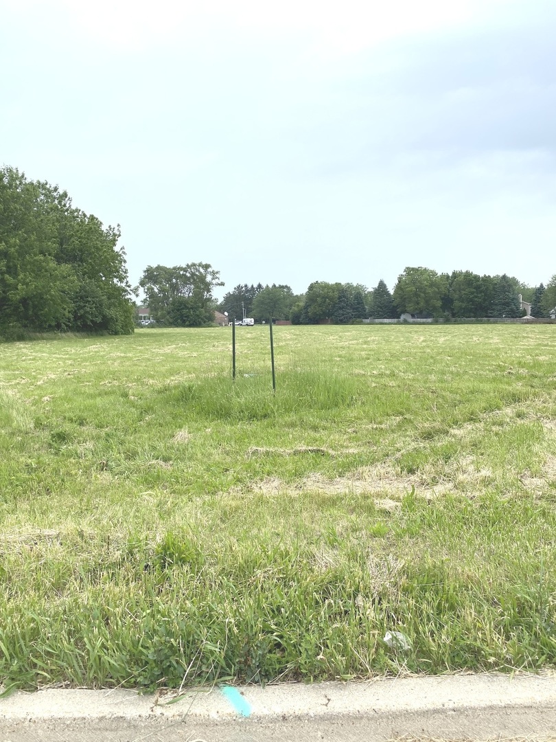 126 S Sugar Grove Parkway Property Photo 1