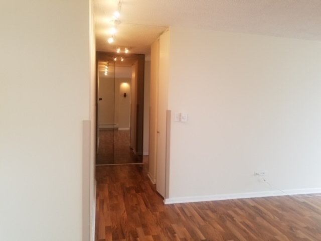 5401 S Hyde Park Boulevard 705 Property Photo 10