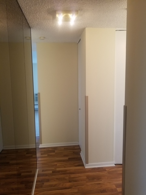 5401 S Hyde Park Boulevard 705 Property Photo 11