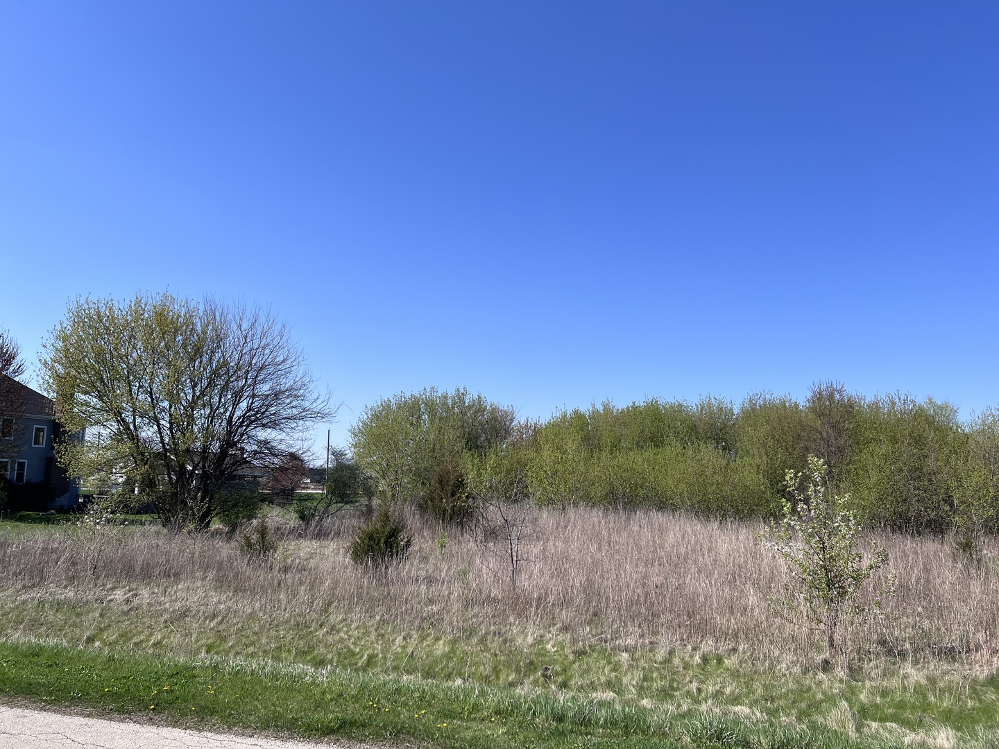 15510 Botterman Road Property Photo 4
