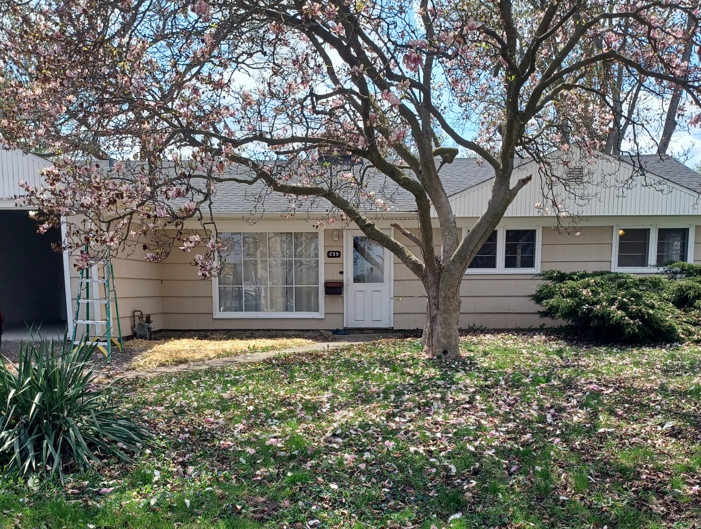 239 Sauk Trail Property Photo
