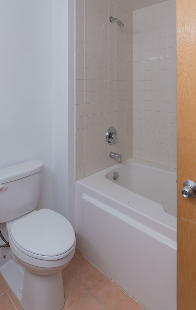 1250 W Van Buren Street 203 Property Photo 20