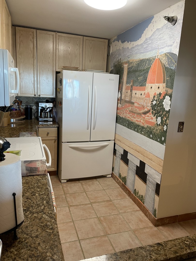 195 N Harbor Drive 4908 Property Photo 9