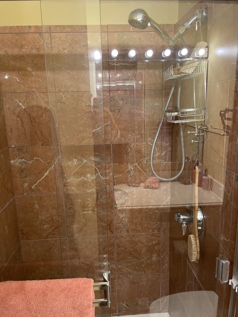 195 N Harbor Drive 4908 Property Photo 14