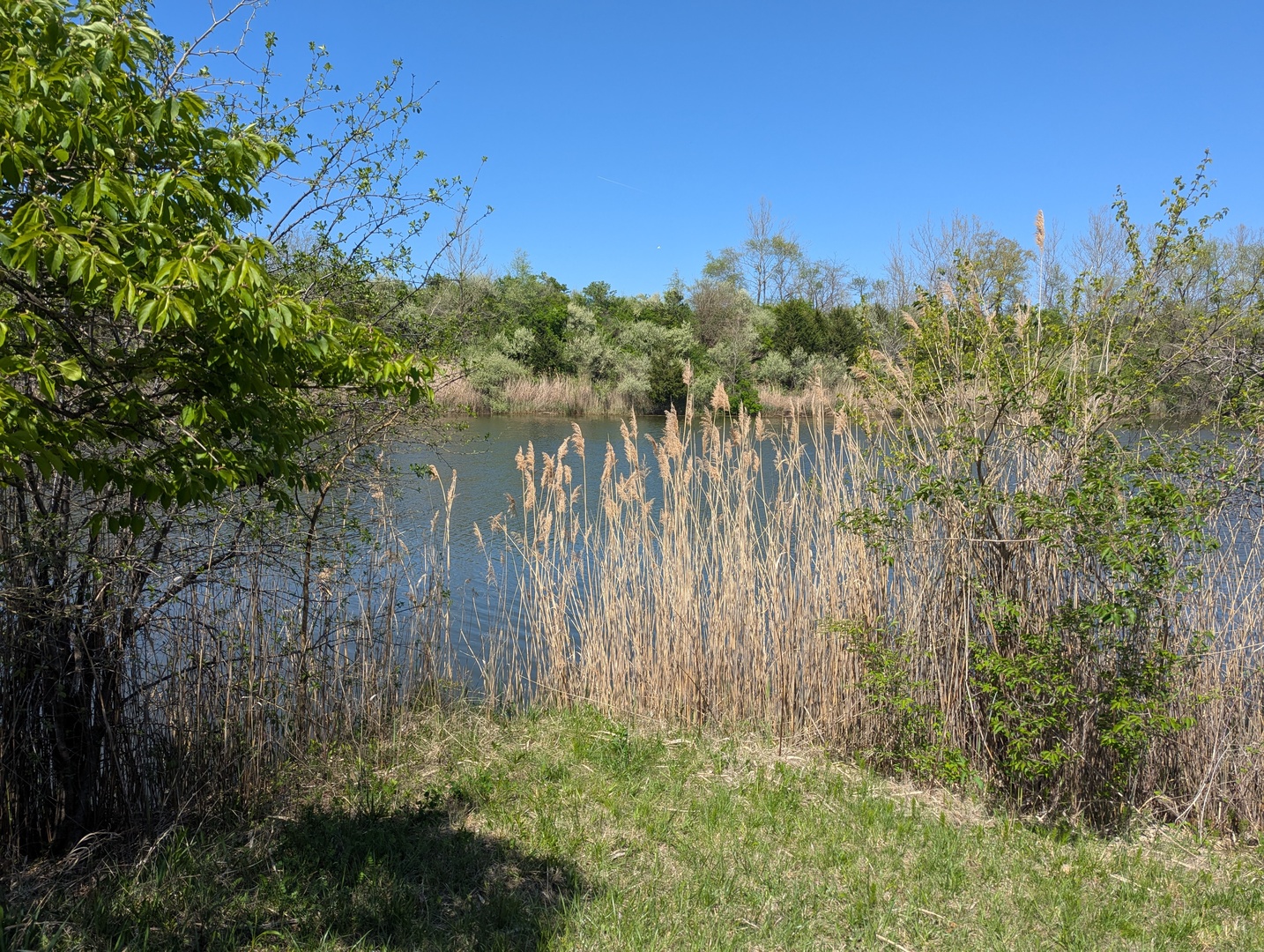 Dor1701b Henning Road Property Photo 5