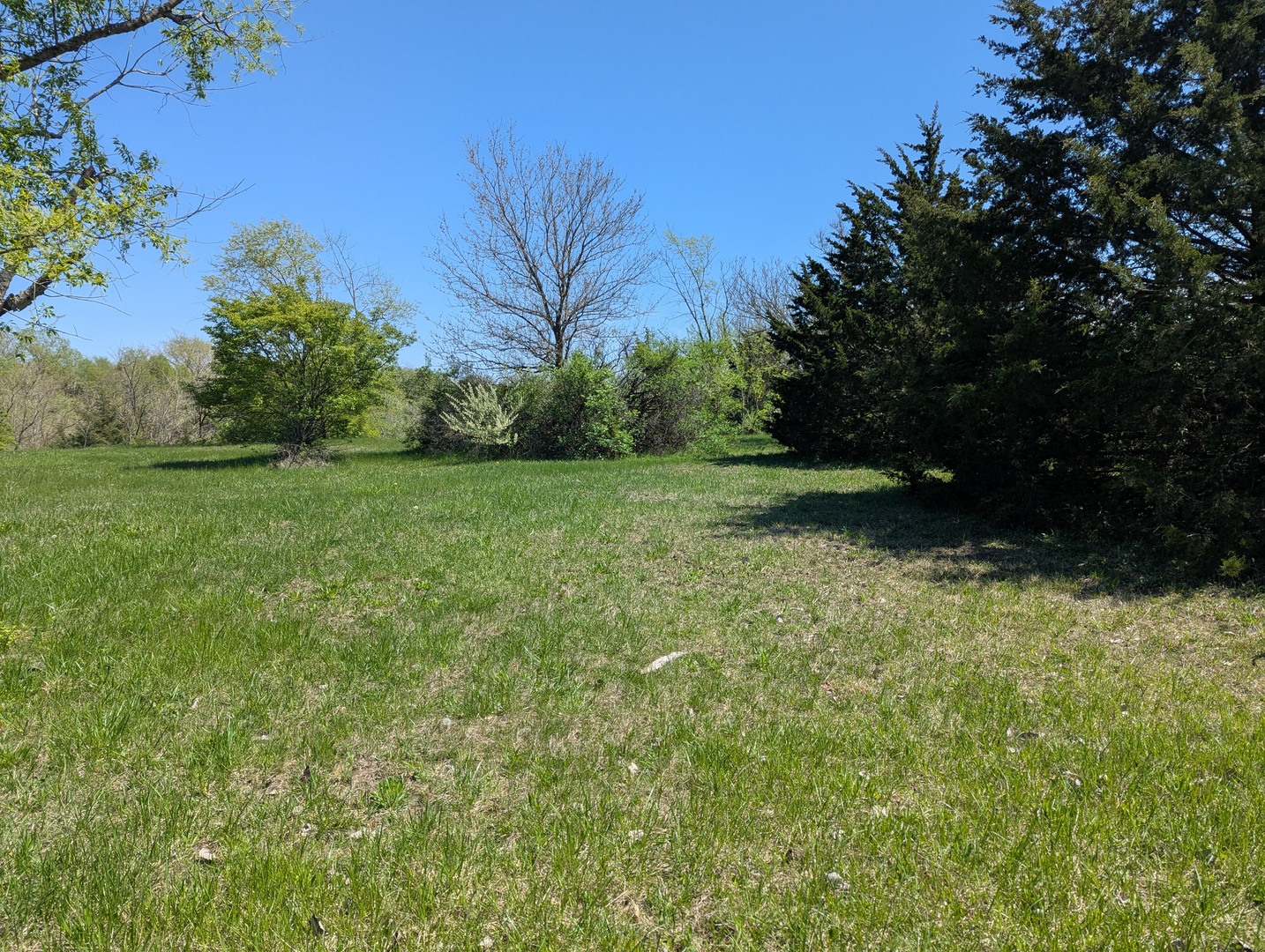 Dor1701b Henning Road Property Photo 7