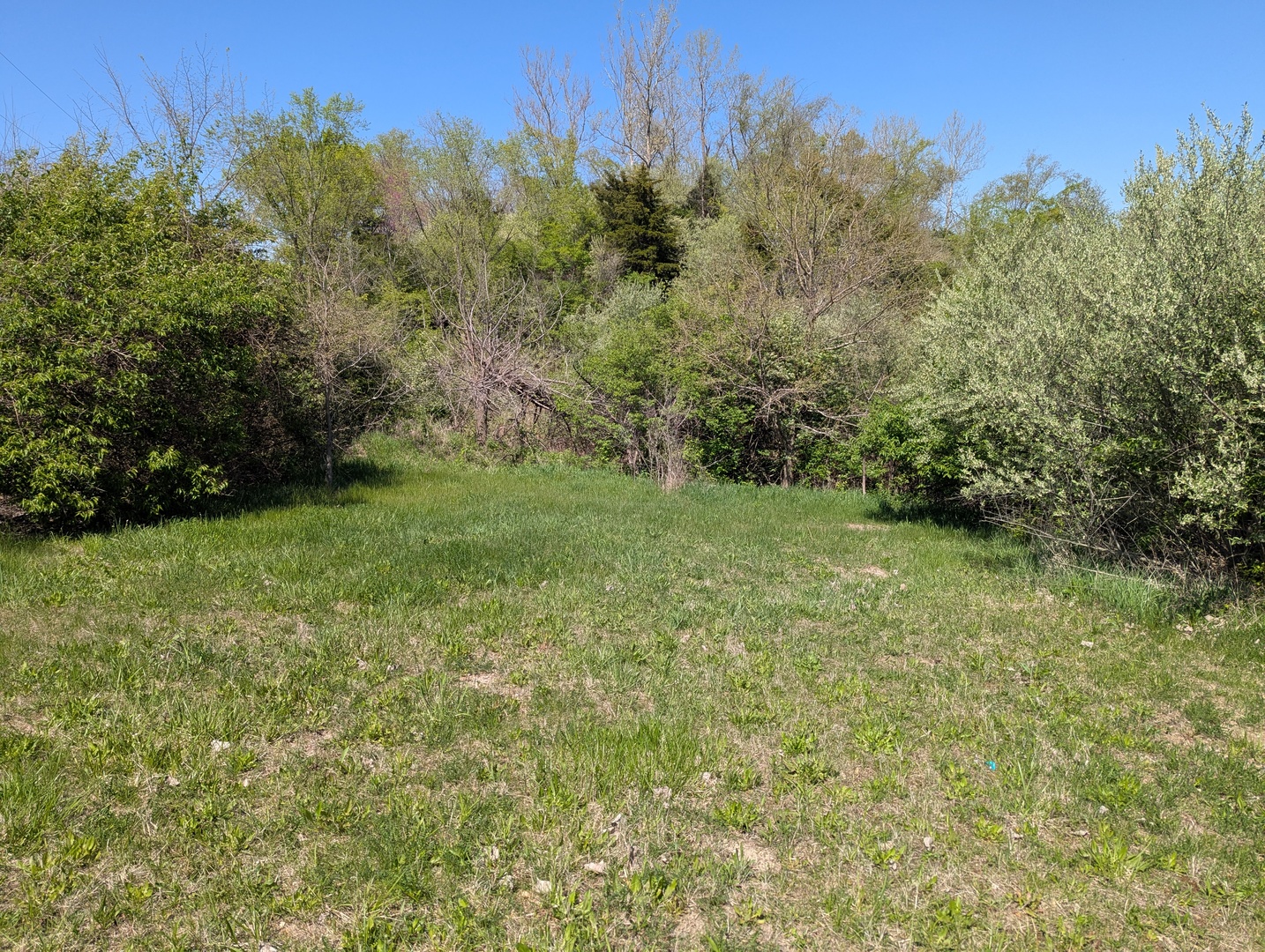 Dor1701b Henning Road Property Photo 10