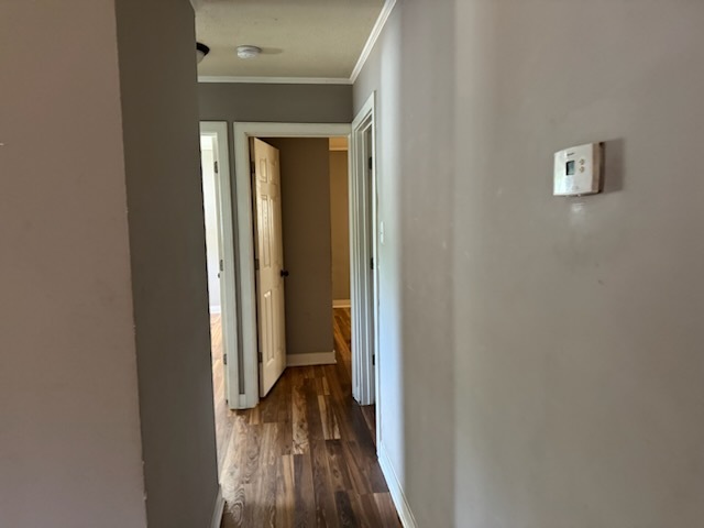 481 Talala Street Property Photo 12