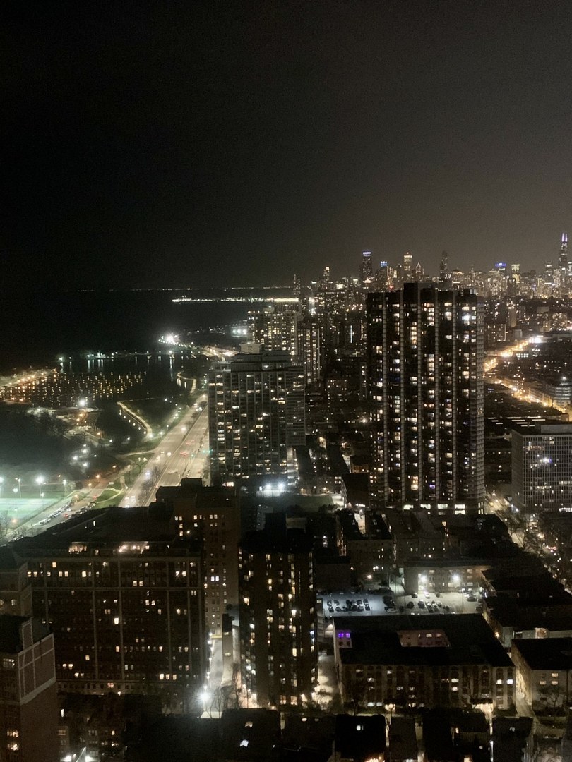 655 W Irving Park Road 4417 Property Photo 6