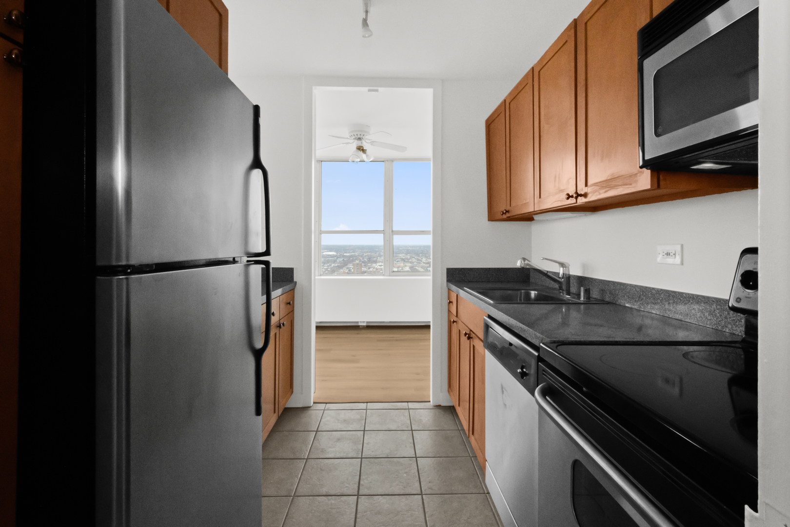 655 W Irving Park Road 4417 Property Photo 11