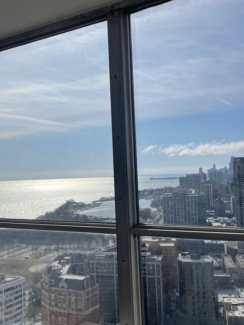 655 W Irving Park Road 4417 Property Photo 15