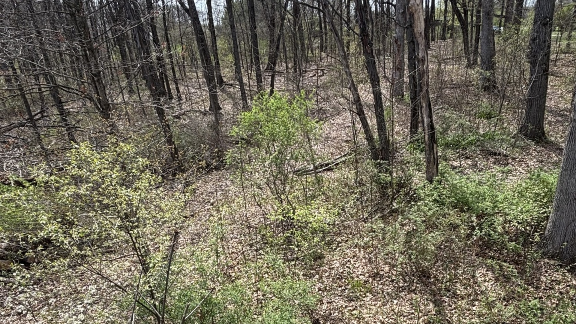 258 S Root Drive Property Photo 11