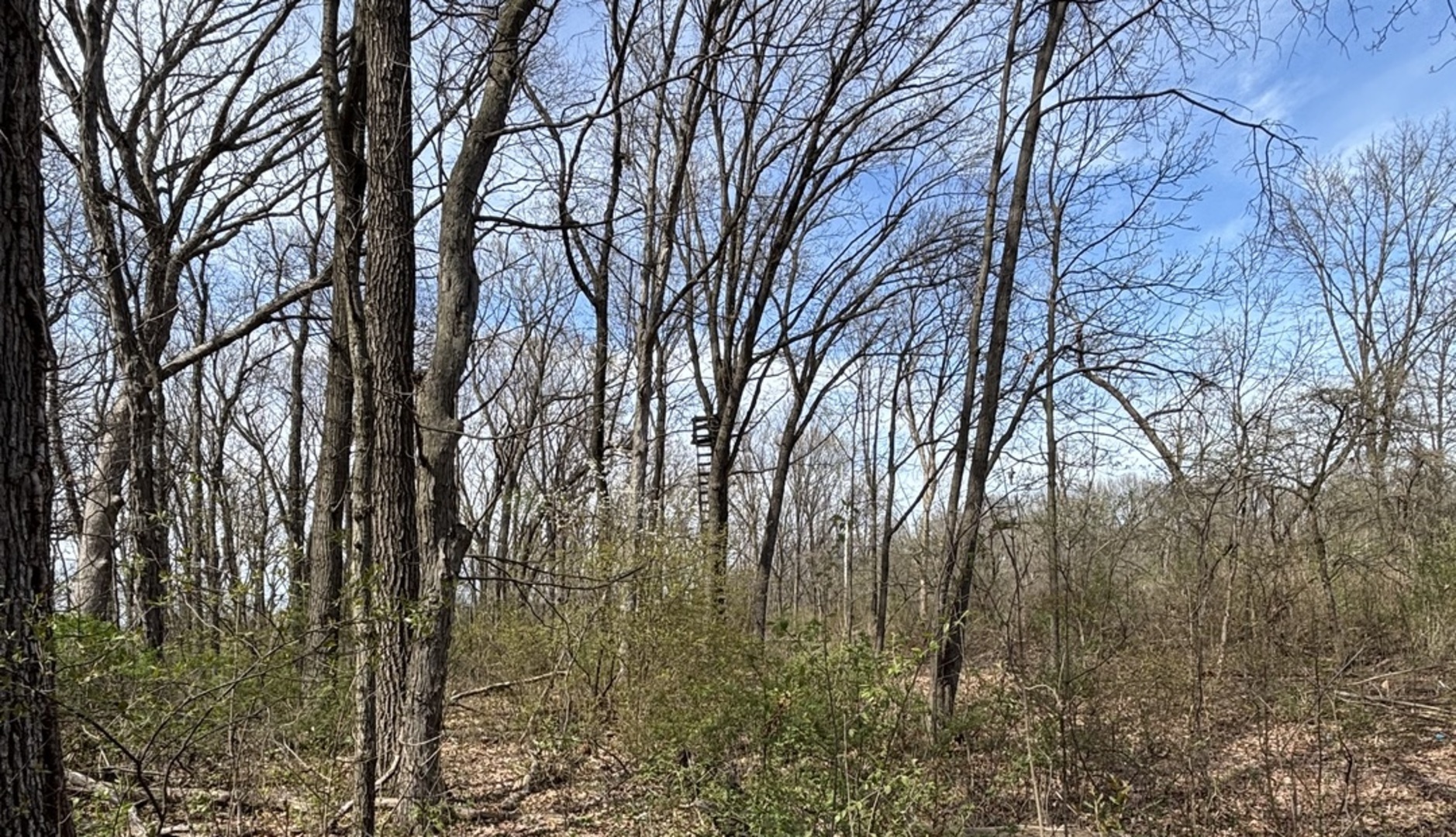 258 S Root Drive Property Photo 12
