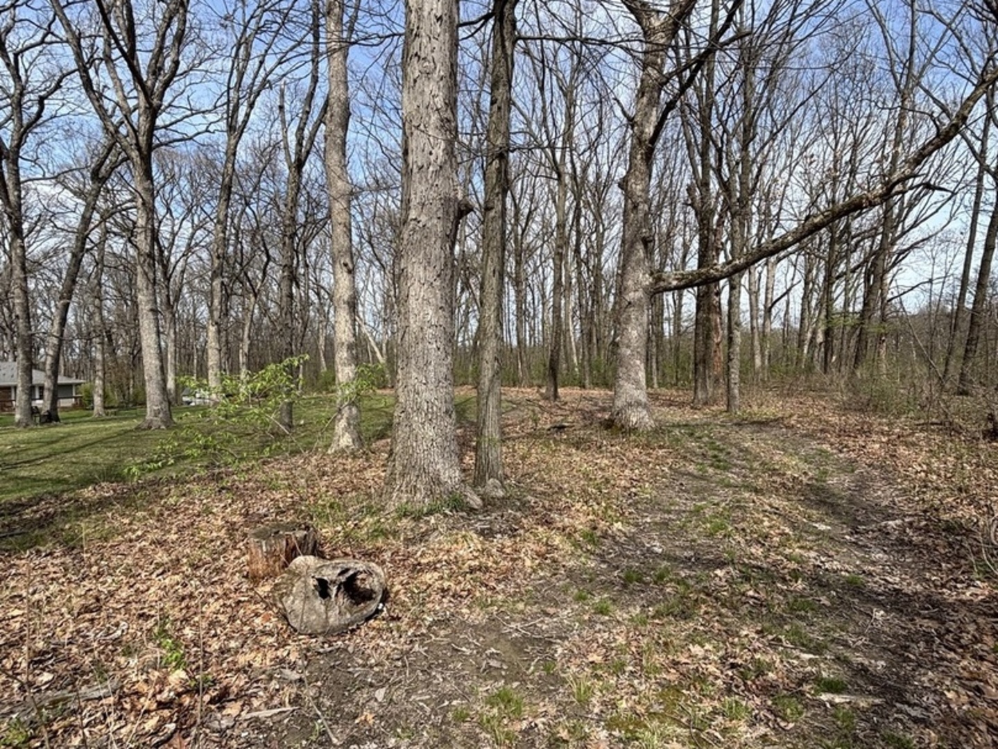 258 S Root Drive Property Photo 14