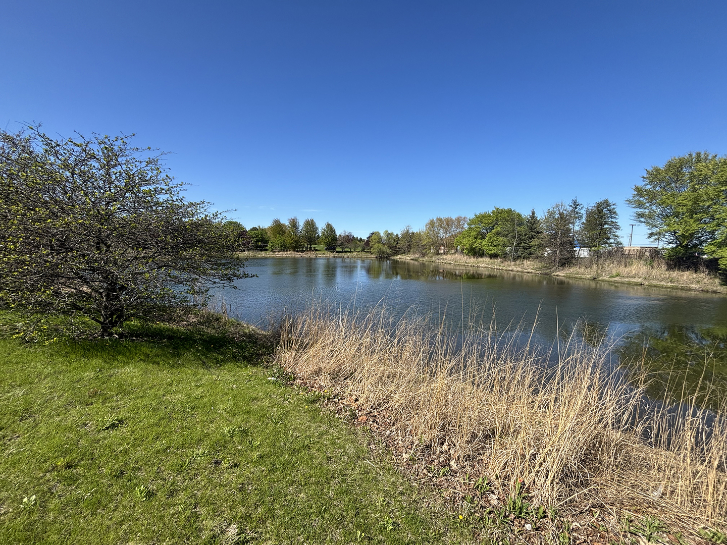2107 Neubauer Cir Property Photo 9
