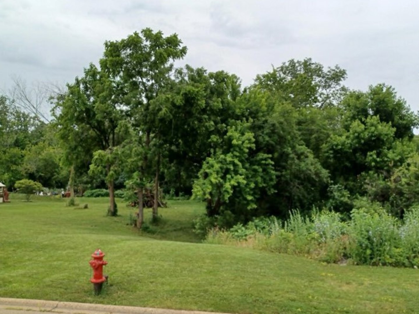 109 Creekside Drive Property Photo 3