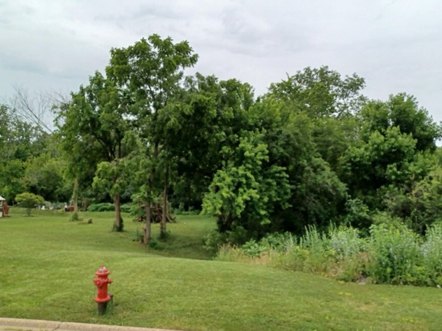 109 Creekside Drive Property Photo 12