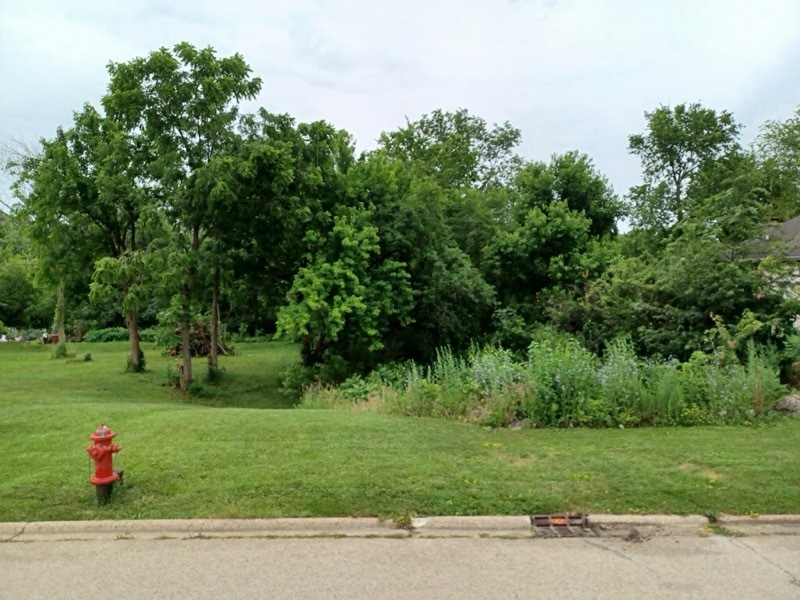 109 Creekside Drive Property Photo 13