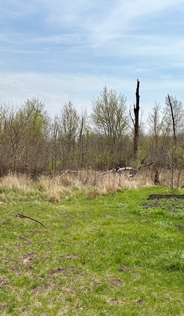 14/33 Woodhaven Property Photo 1