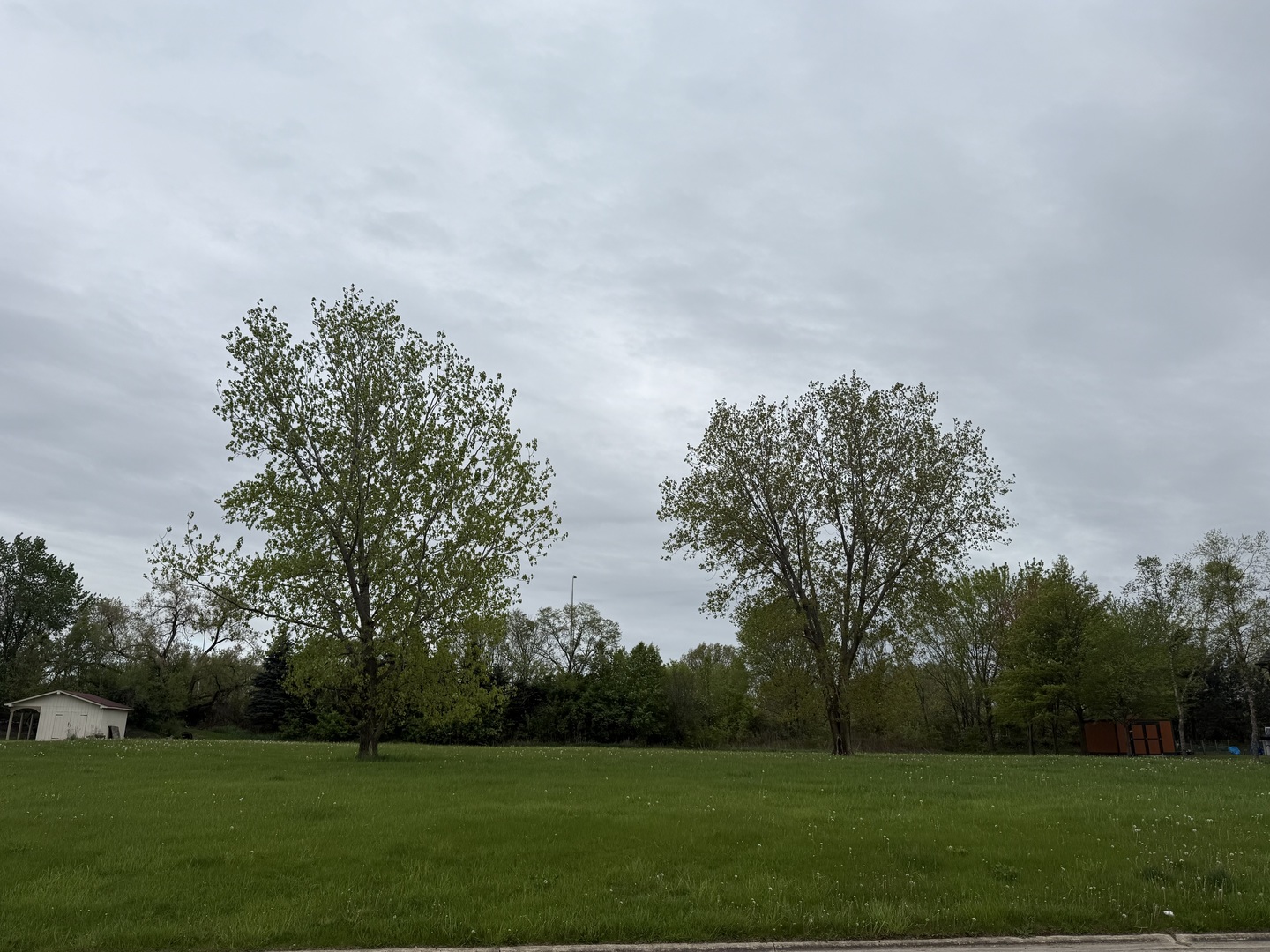 24317 Schubert Lane Property Photo 2