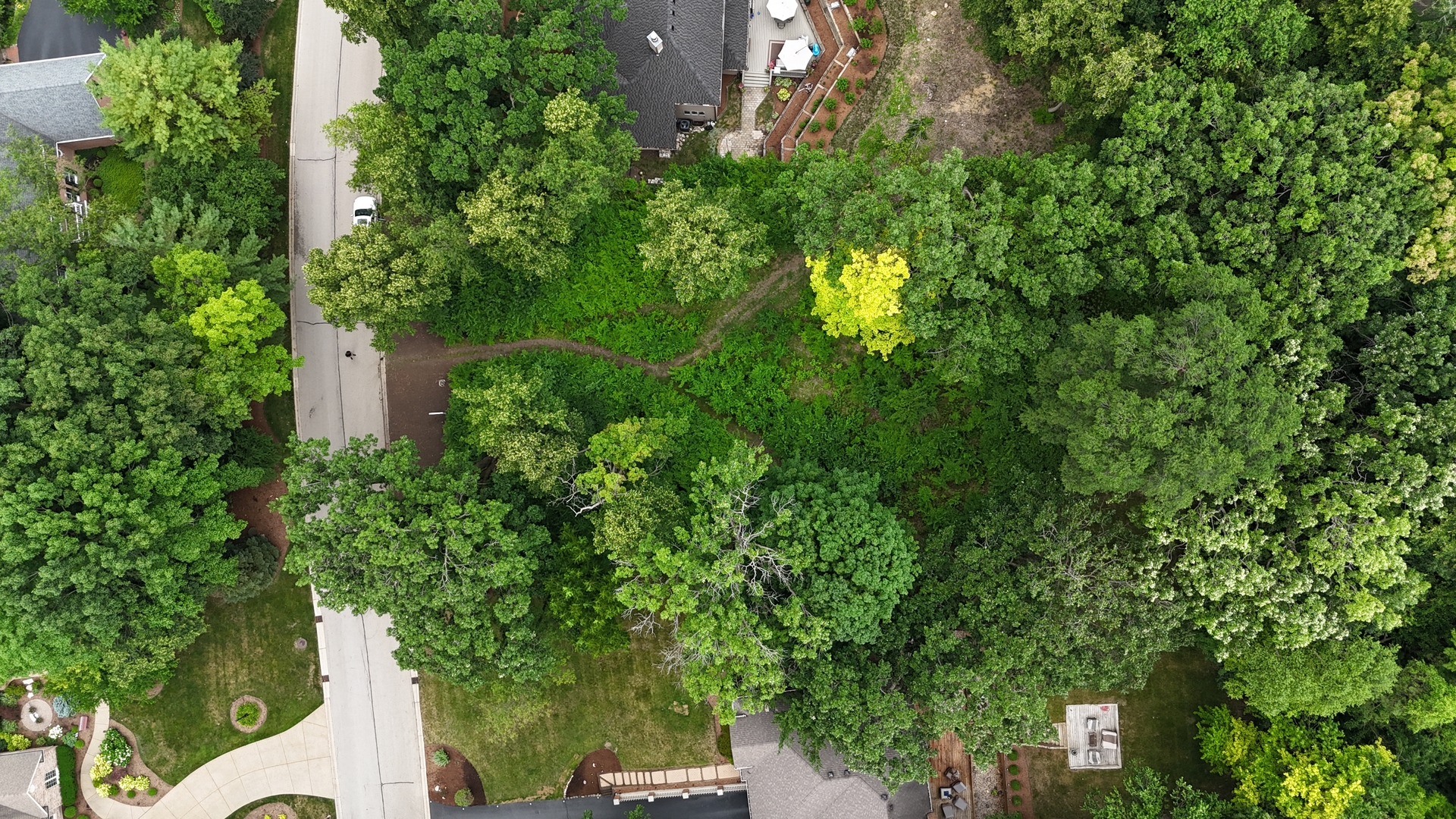 705 Harper Drive Property Photo 3