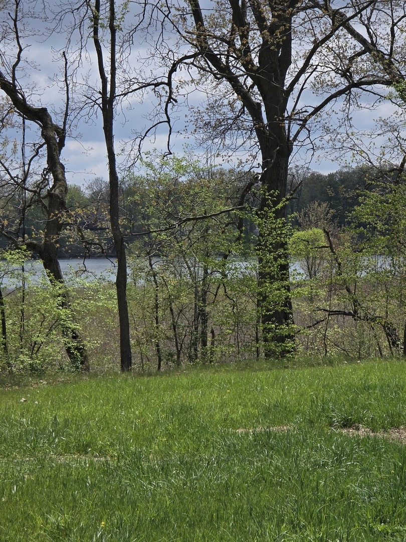 17769 Paradise Lake Street Property Photo 4
