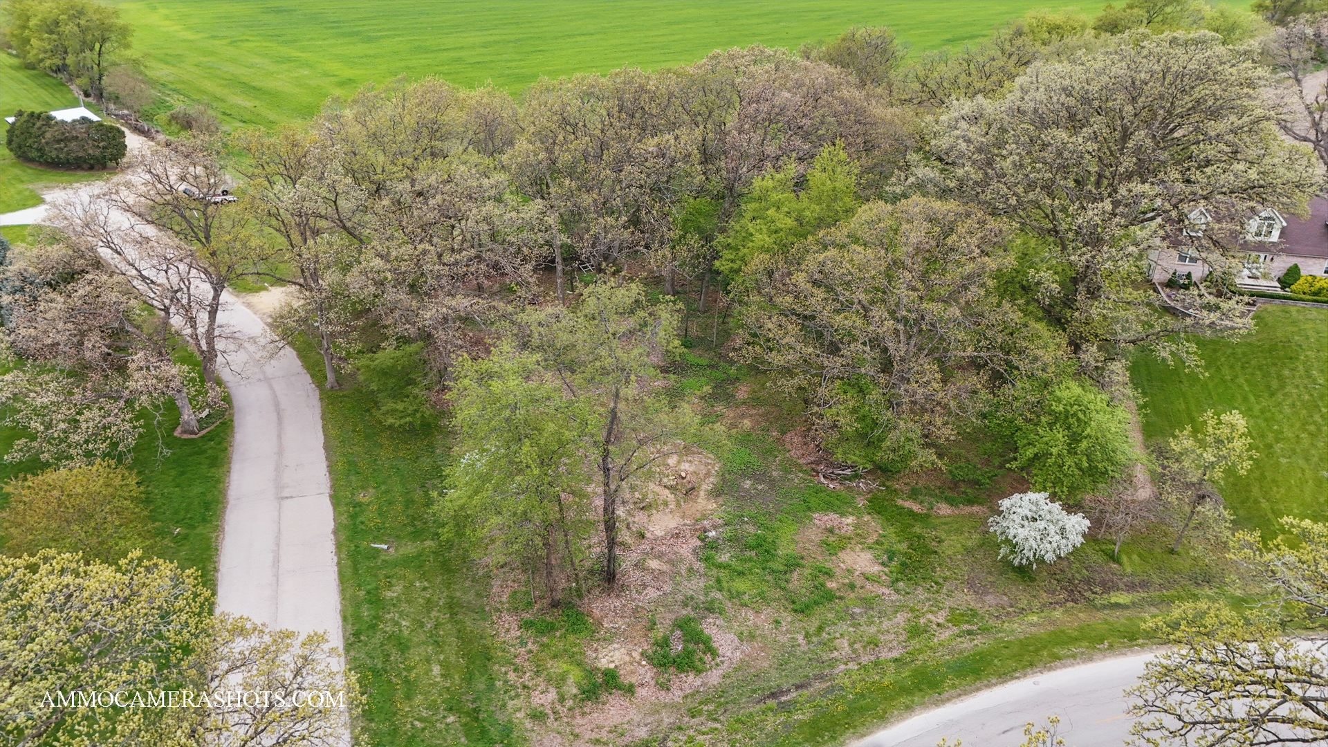 Lot 3 Ellwood Greens Road Property Photo 2