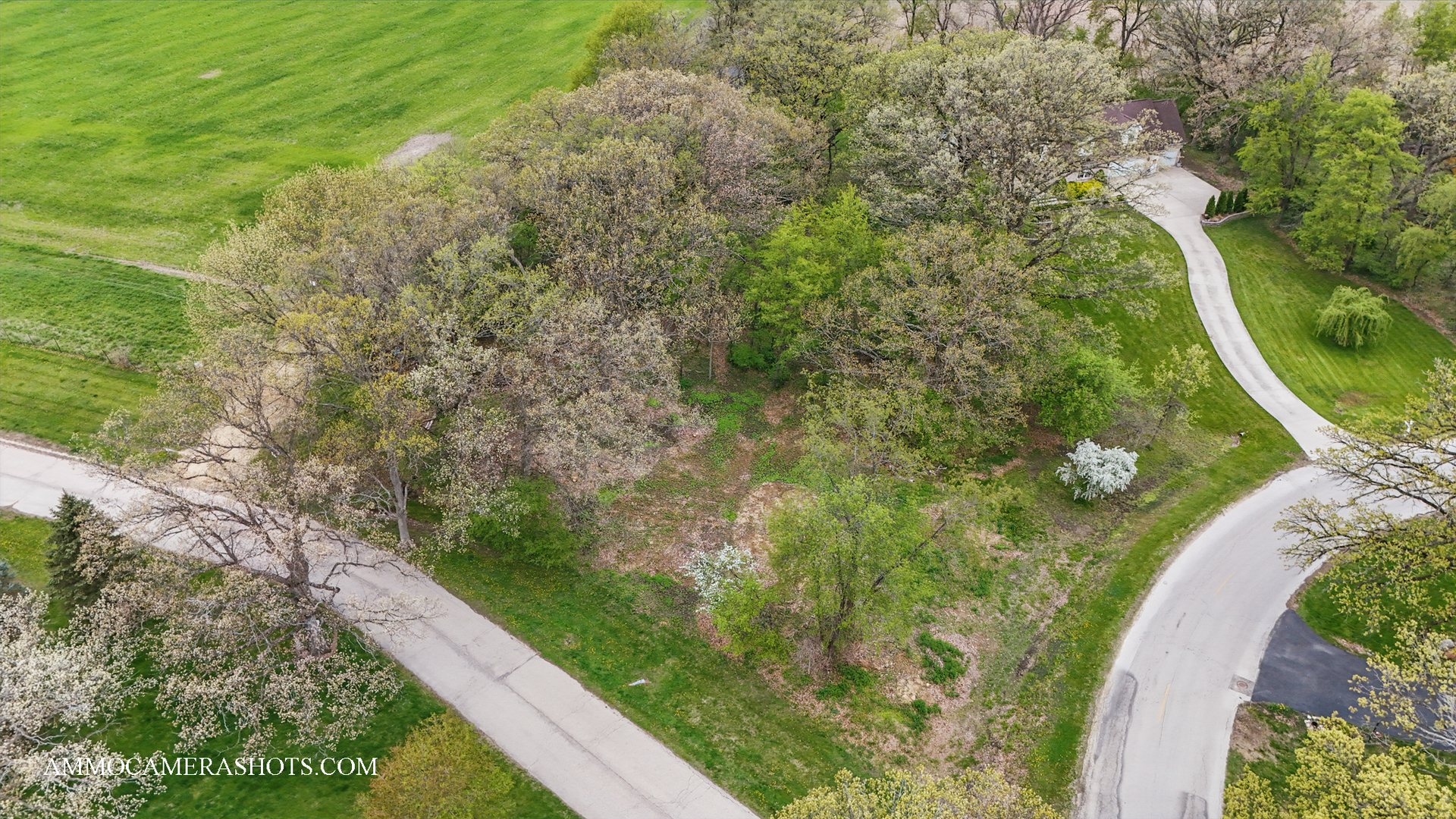 Lot 3 Ellwood Greens Road Property Photo 3