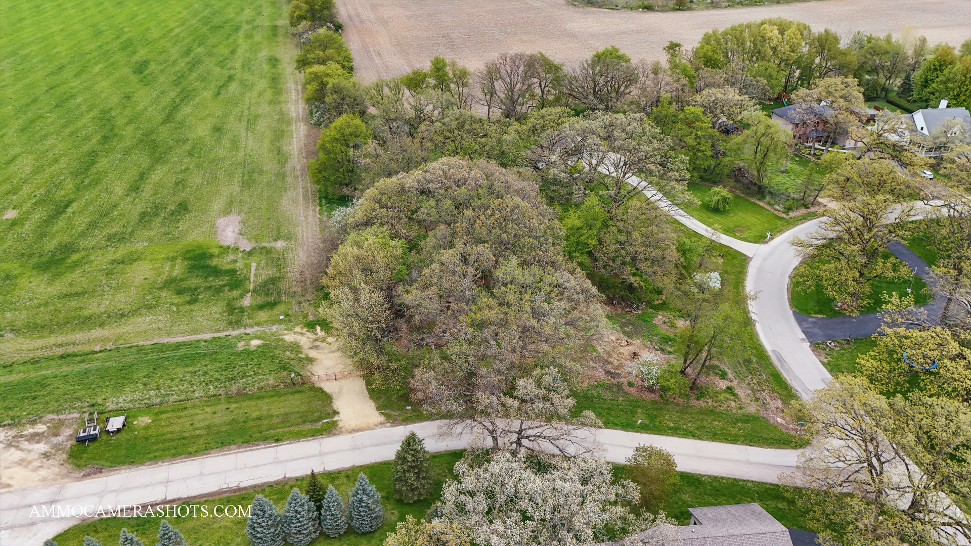 Lot 3 Ellwood Greens Road Property Photo 4