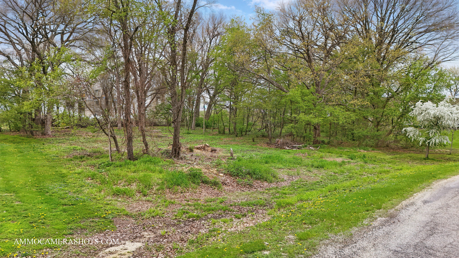 Lot 3 Ellwood Greens Road Property Photo 6