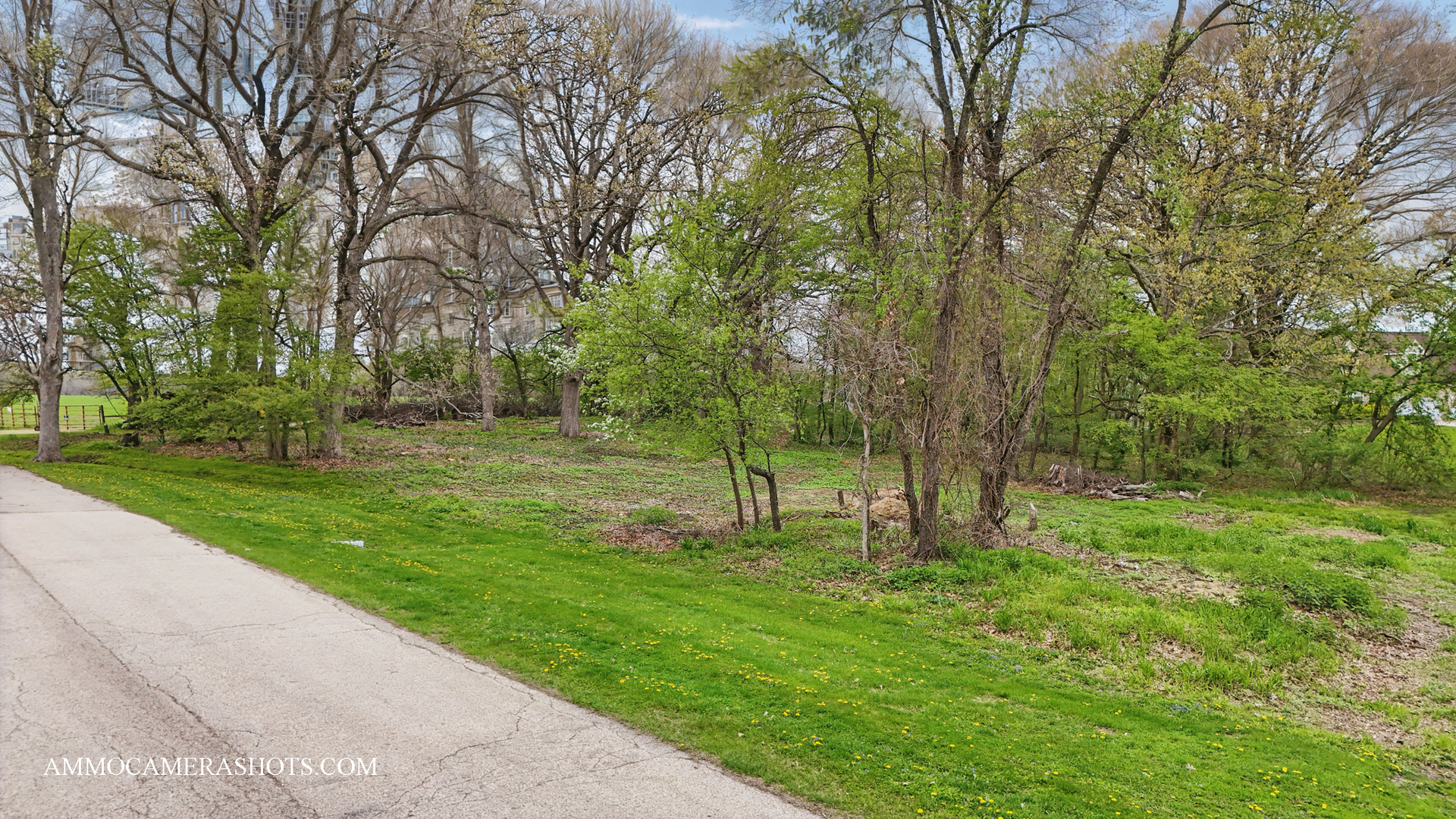 Lot 3 Ellwood Greens Road Property Photo 7