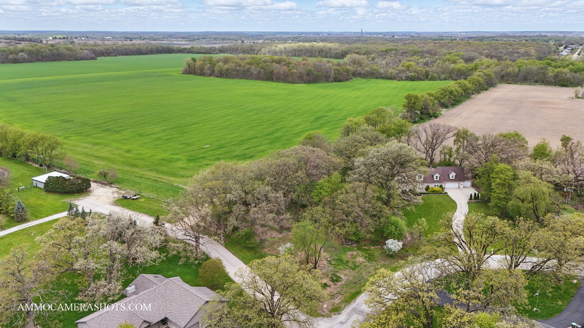Lot 3 Ellwood Greens Road Property Photo 9