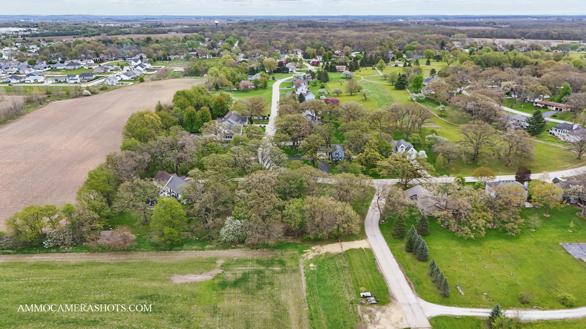 Lot 3 Ellwood Greens Road Property Photo 11