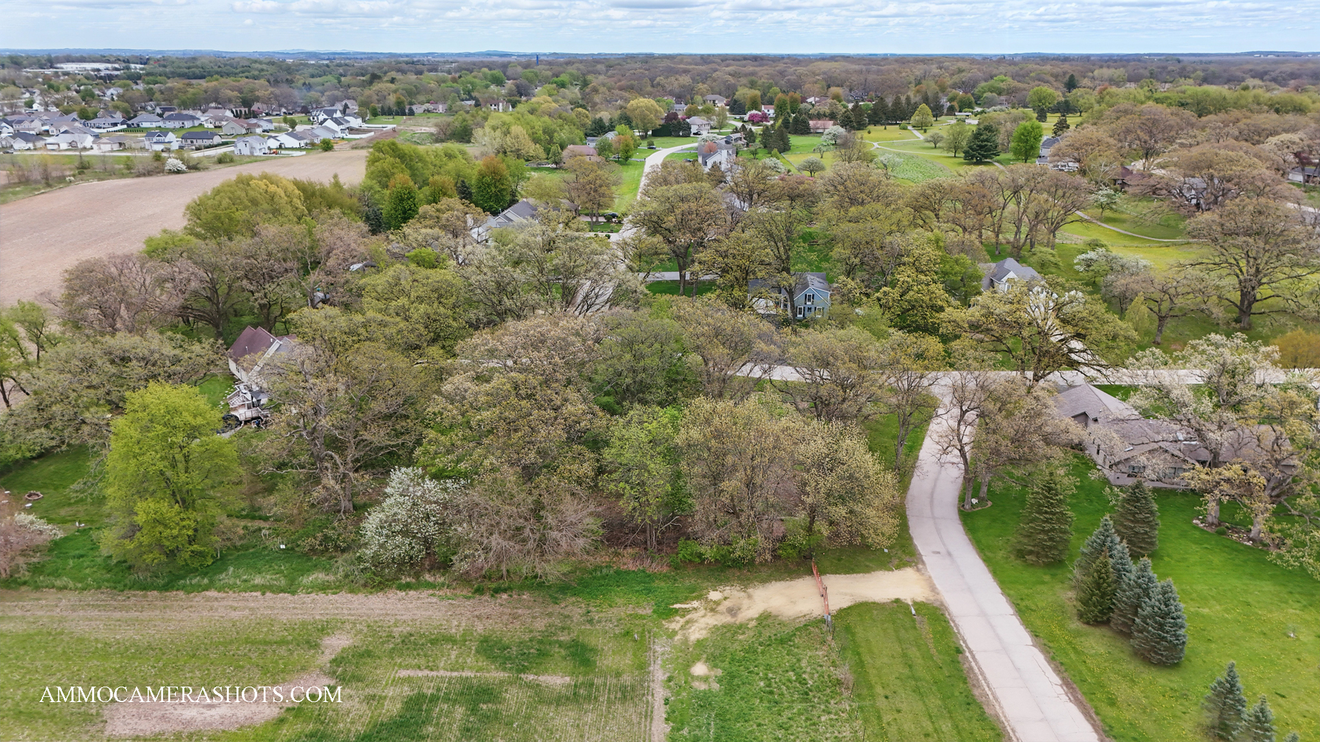 Lot 3 Ellwood Greens Road Property Photo 12