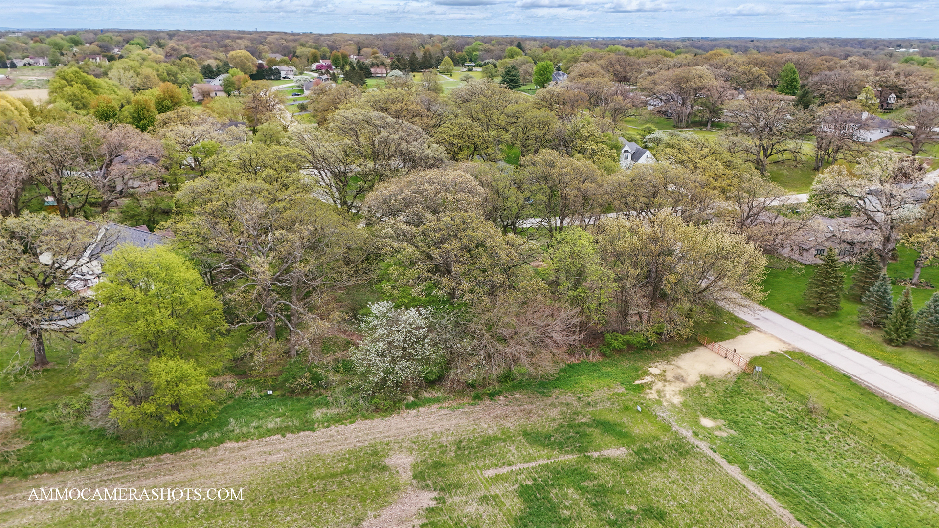 Lot 3 Ellwood Greens Road Property Photo 13