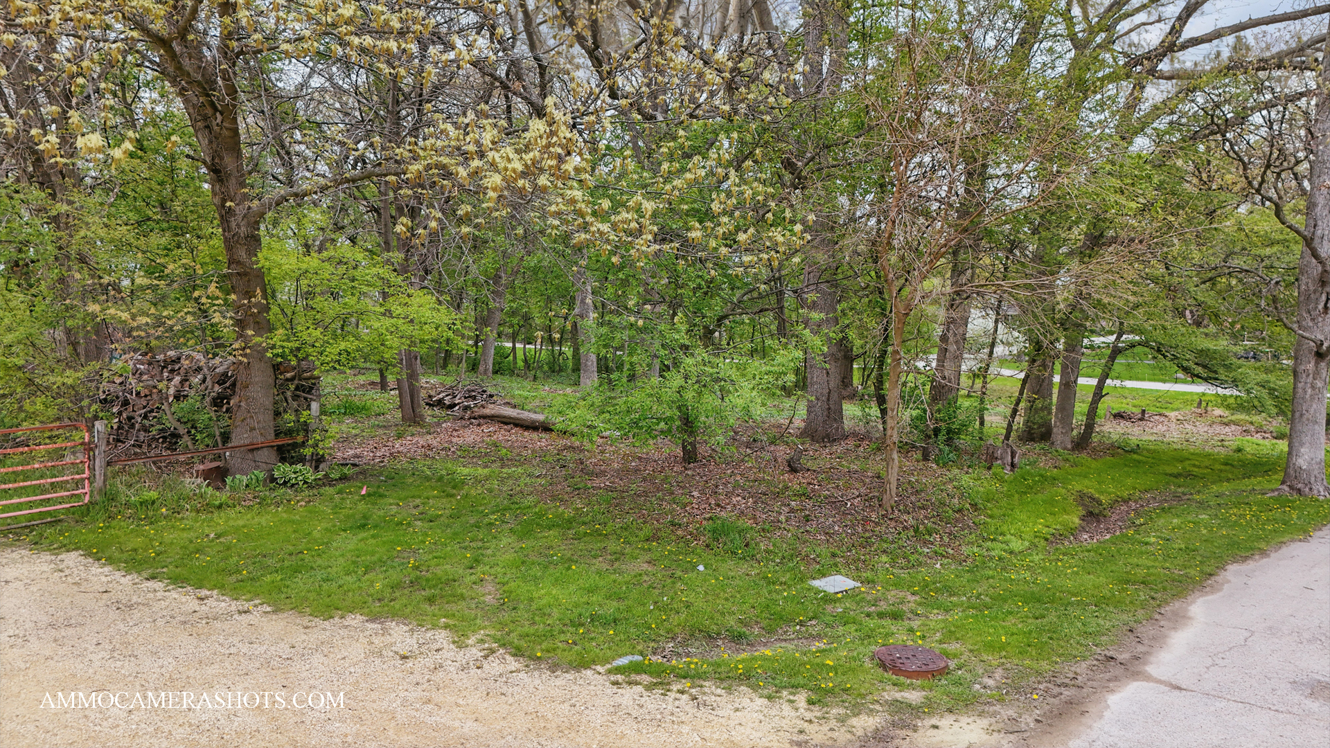 Lot 3 Ellwood Greens Road Property Photo 14