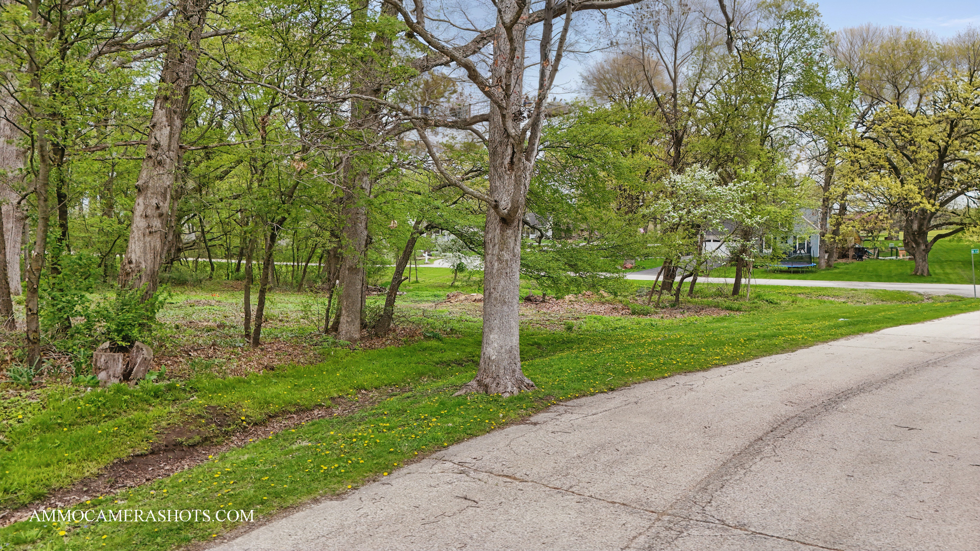 Lot 3 Ellwood Greens Road Property Photo 15