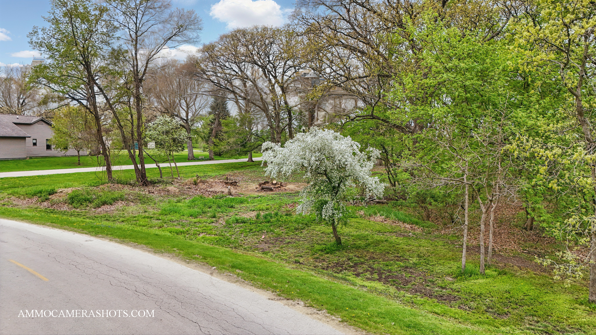 Lot 3 Ellwood Greens Road Property Photo 16