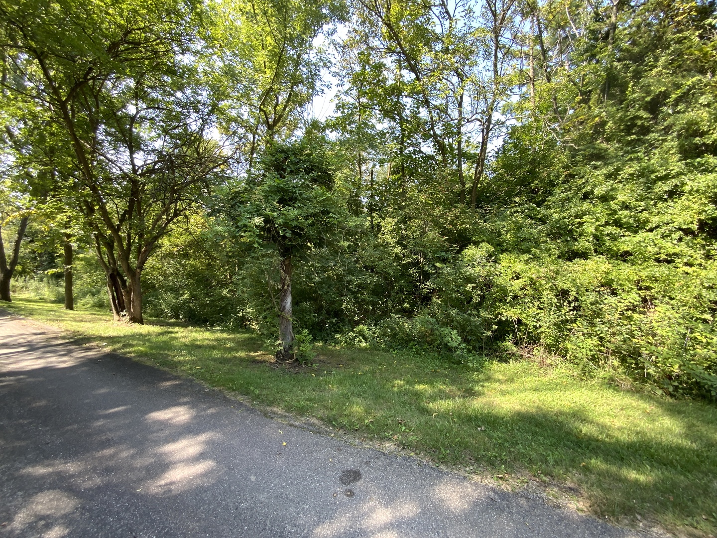 Lot 2 Maple Lane Property Photo 1